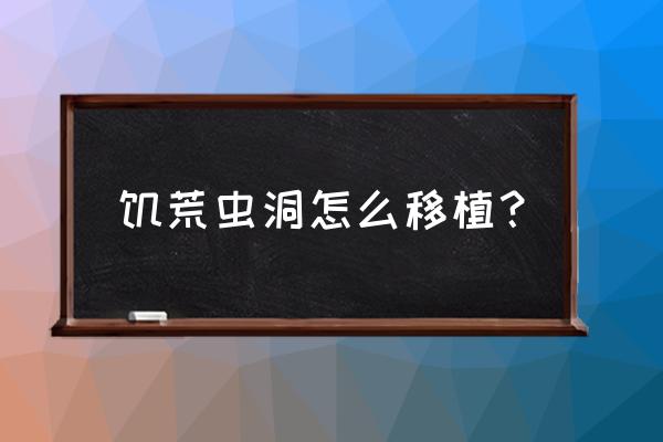饥荒什么草可以移栽 饥荒虫洞怎么移植? 饥荒什么草可以移栽 饥荒虫洞怎么移植?